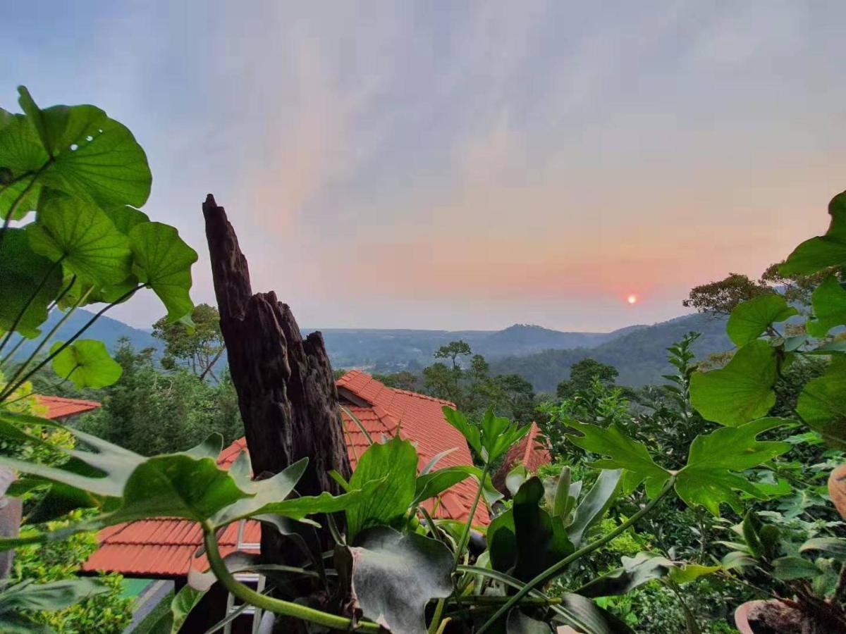 Bao Sheng Durian Farm Villa Balik Pulau Exterior photo
